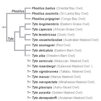 taxon links