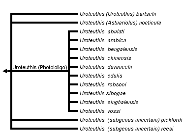 taxon links