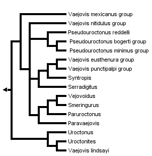 taxon links