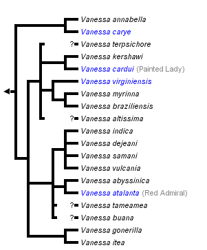 taxon links