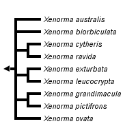 taxon links