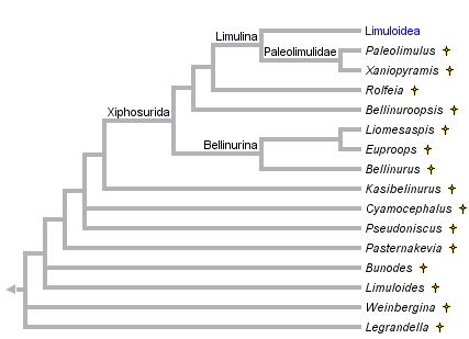 taxon links