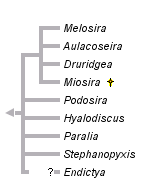 taxon links