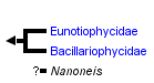 taxon links