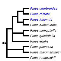 taxon links