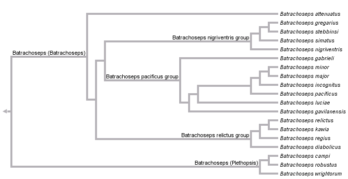 taxon links