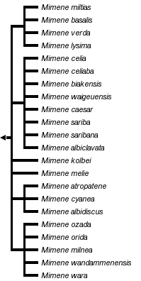 taxon links