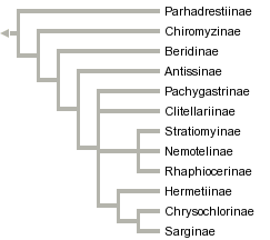 taxon links