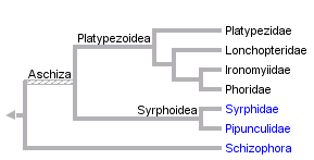 taxon links