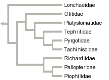 taxon links