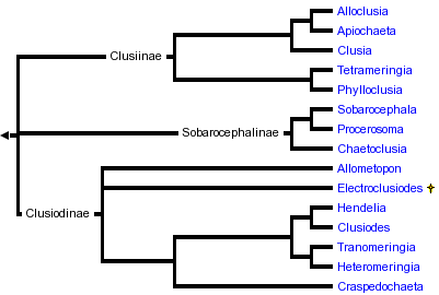 taxon links