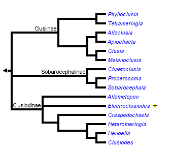 taxon links