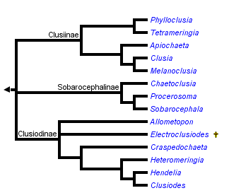 taxon links