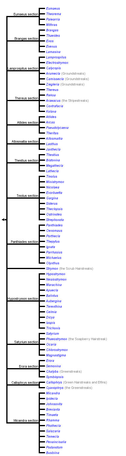 taxon links