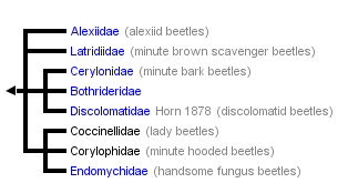 taxon links