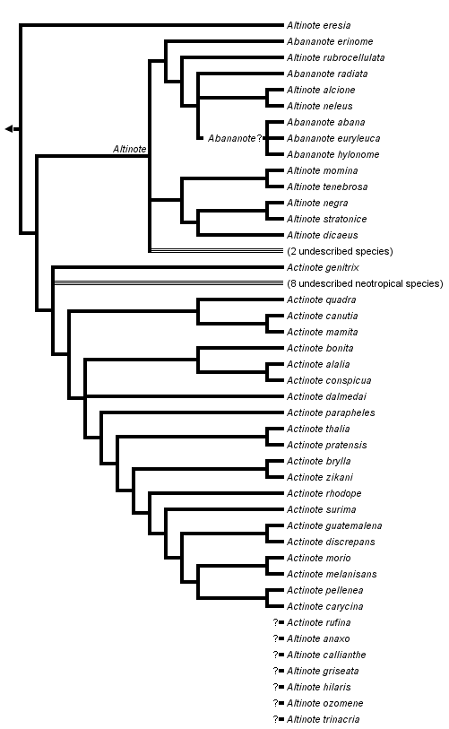 taxon links