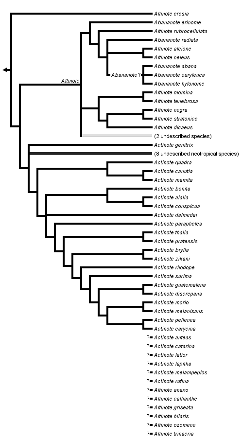 taxon links