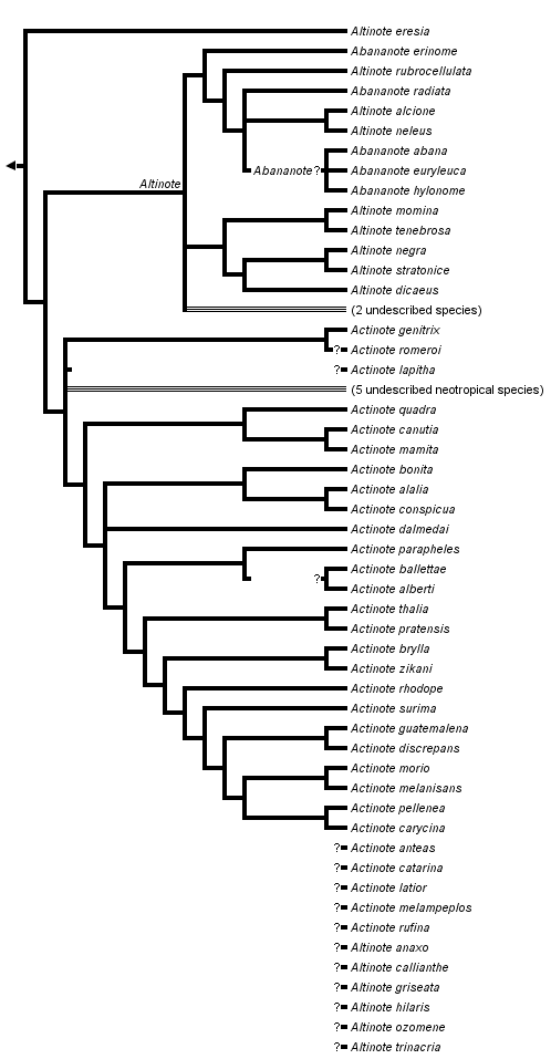 taxon links