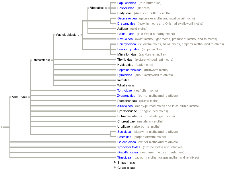 taxon links