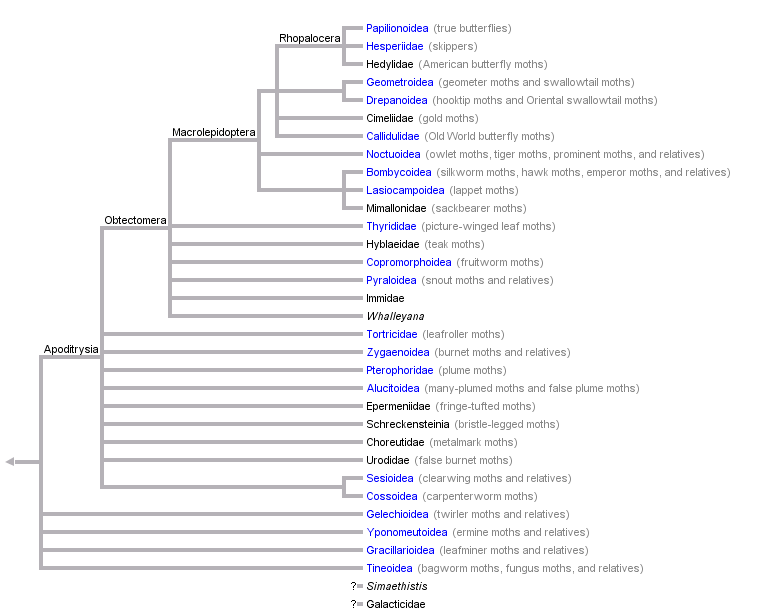 taxon links