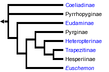 taxon links