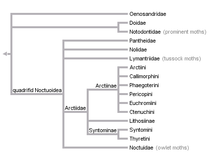 taxon links