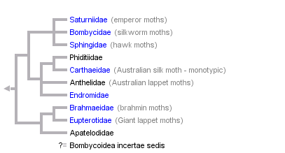 taxon links