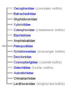 taxon links