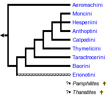 taxon links