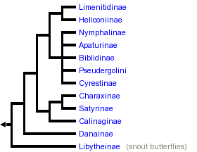 taxon links