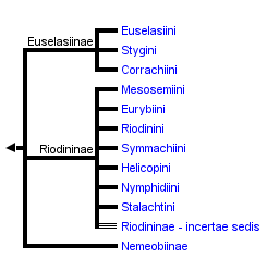 taxon links