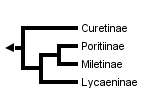 taxon links