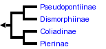 taxon links