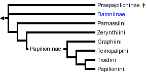 taxon links