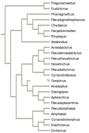 taxon links