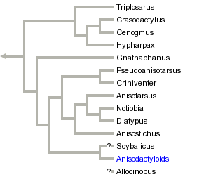 taxon links