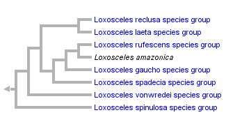 taxon links