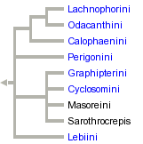 taxon links