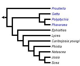 taxon links