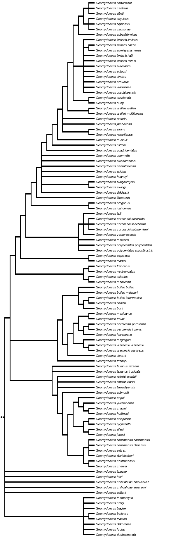 taxon links