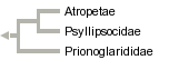 taxon links