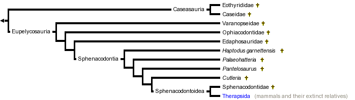 taxon links