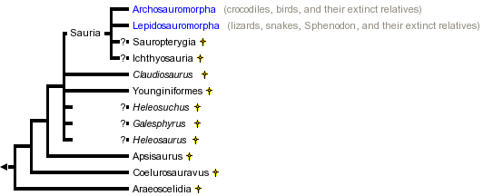 taxon links