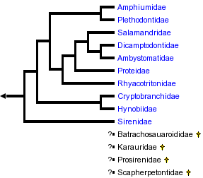 taxon links