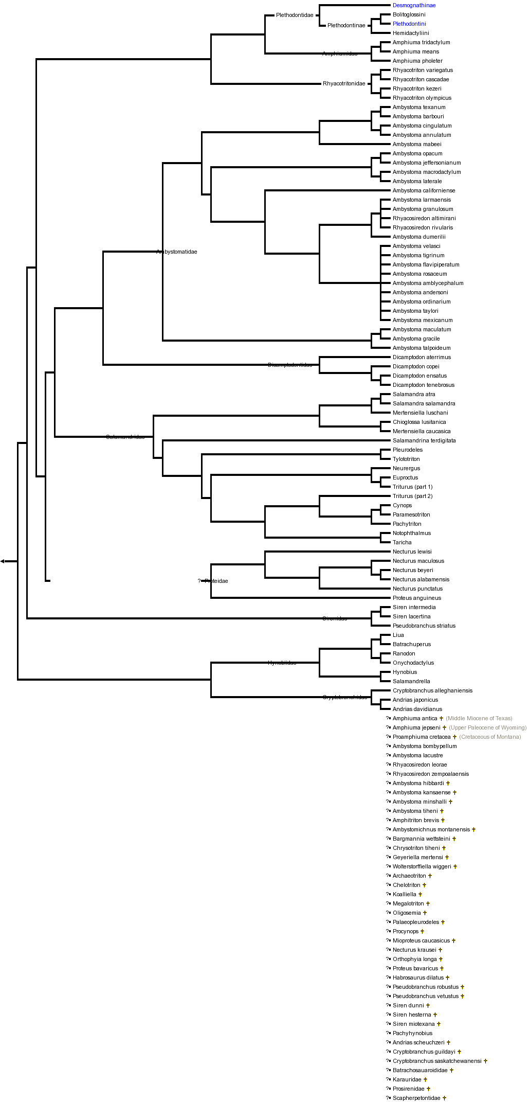 taxon links