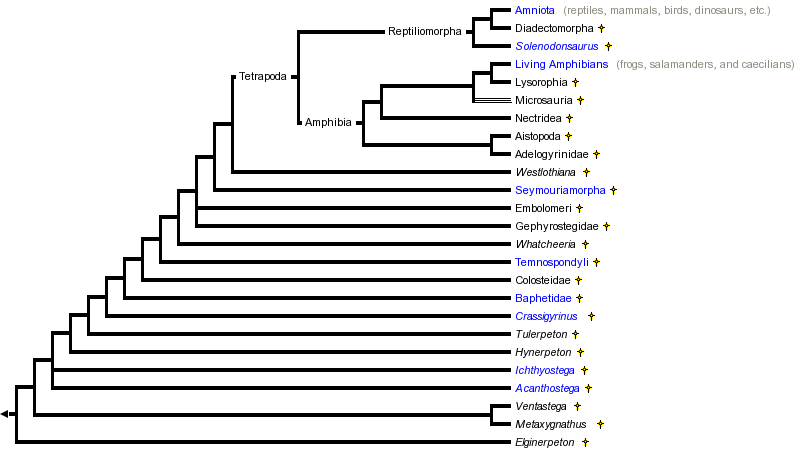 taxon links