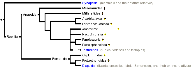 taxon links