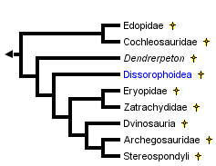taxon links