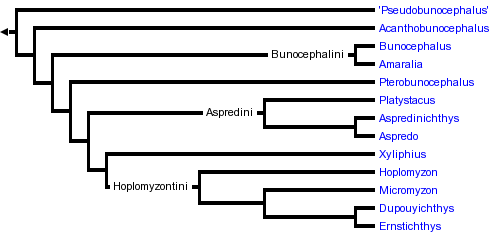 taxon links