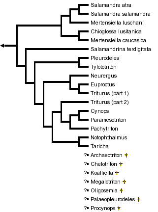 taxon links